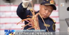 进口食物平安监管